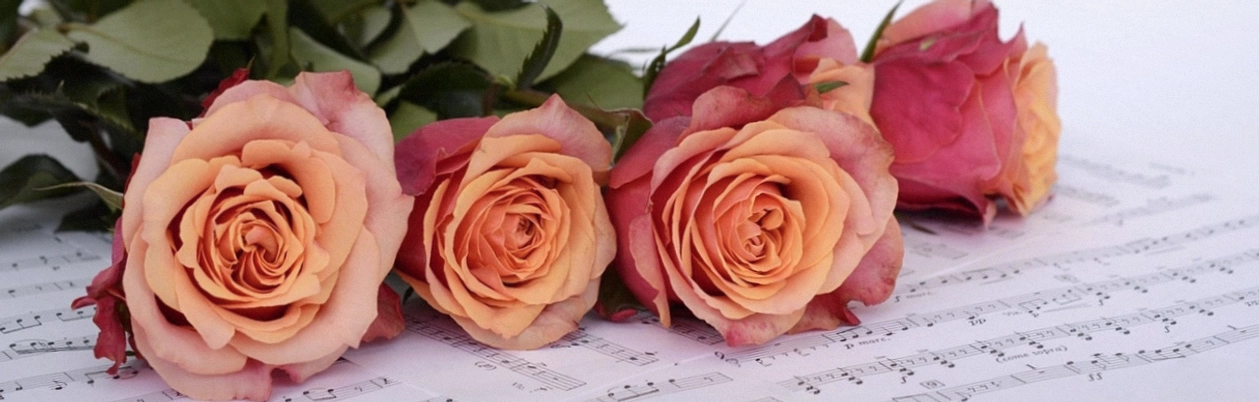 Bright same-day bunch wrapped in kraft paper