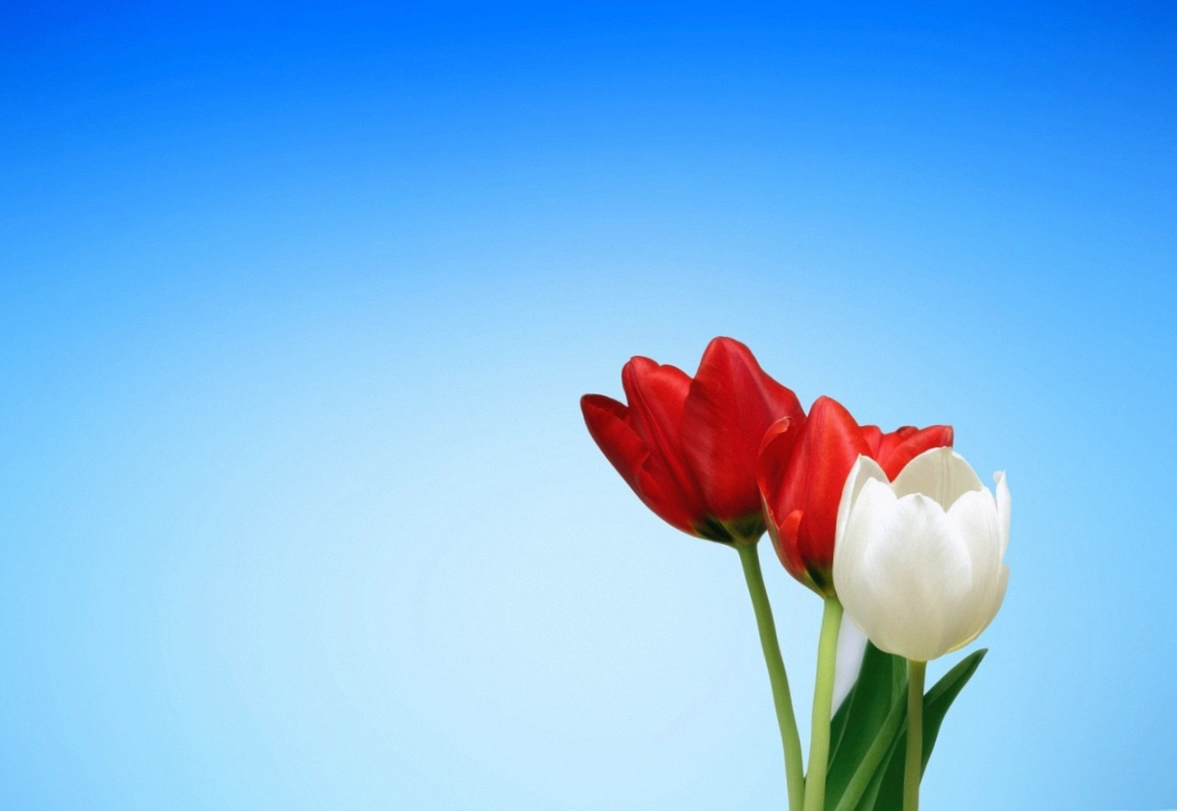 Email with a customer's reference photo open beside a bouquet